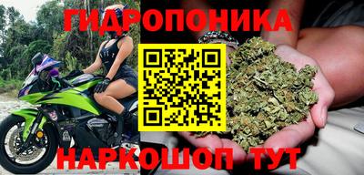 ГАЛЛЮЦИНОГЕННЫЕ ГРИБЫ Гатчина