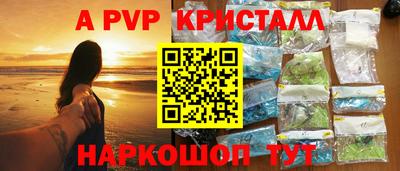 дживик Гай