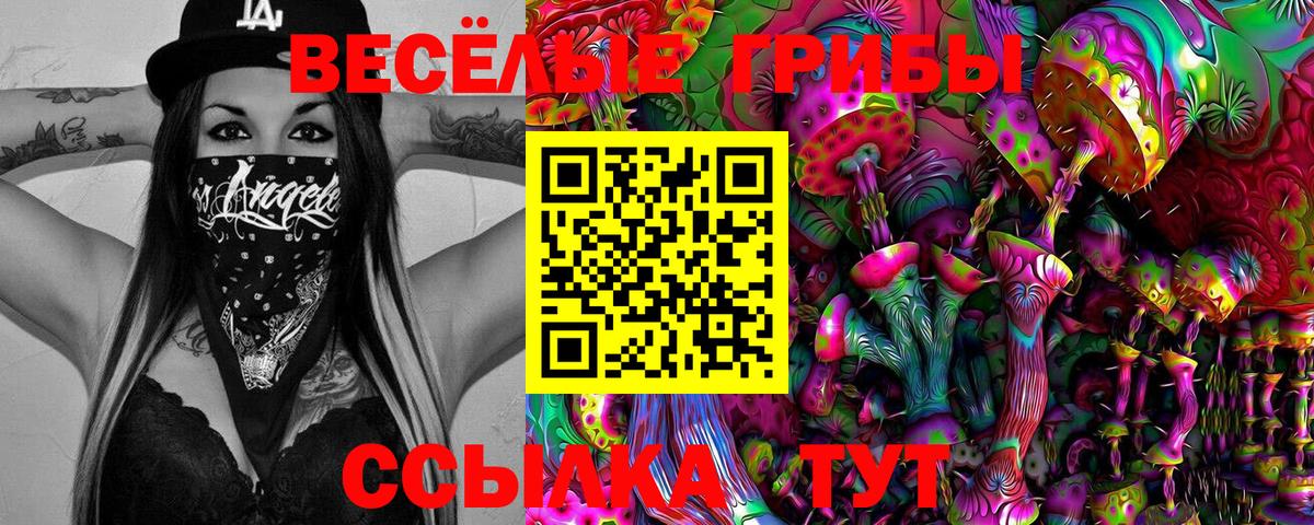 Миасс  Псилоцибиновые грибы ЛСД  Вход с VPN 